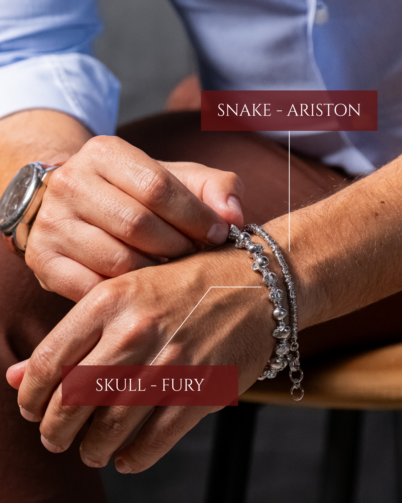 Snake - Ariston
