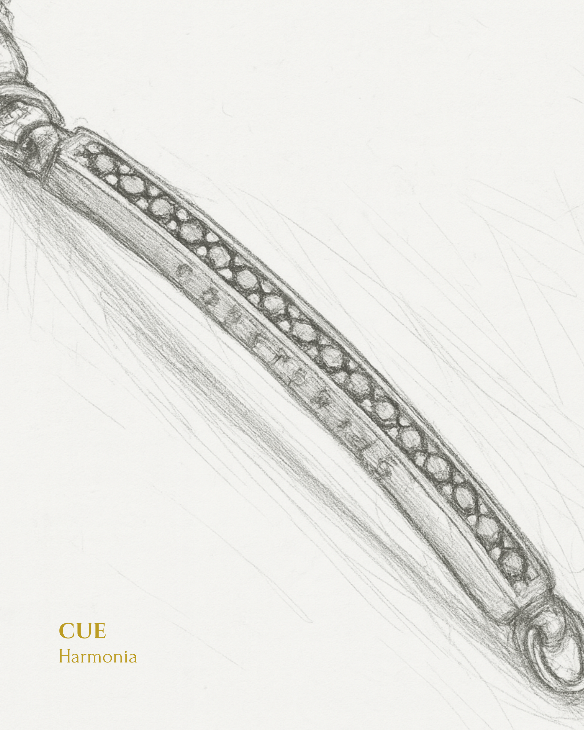 Cue - Harmonia