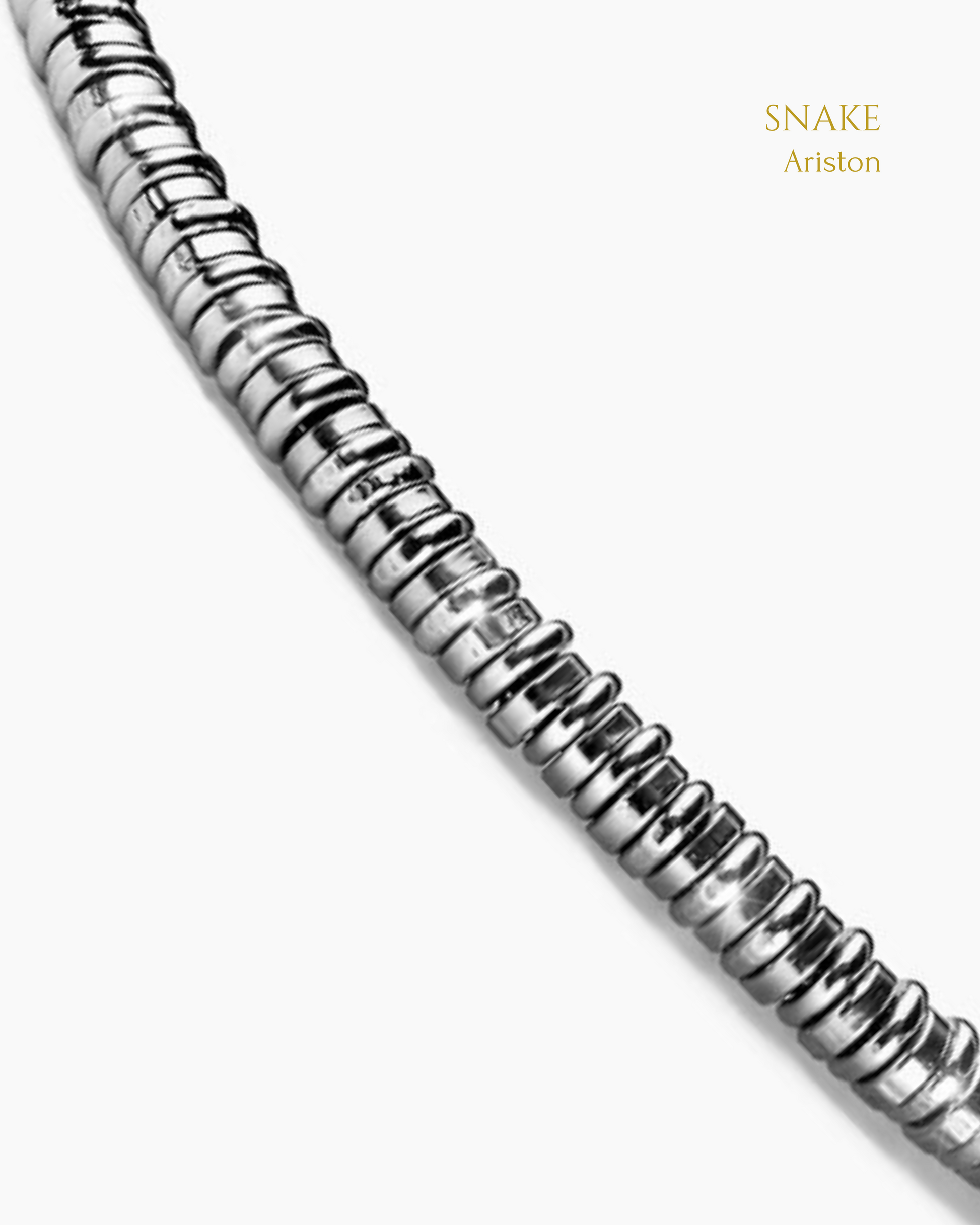 Snake - Ariston