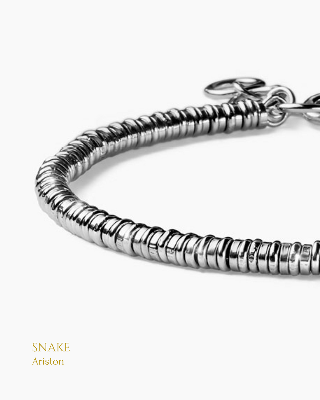 Snake - Ariston