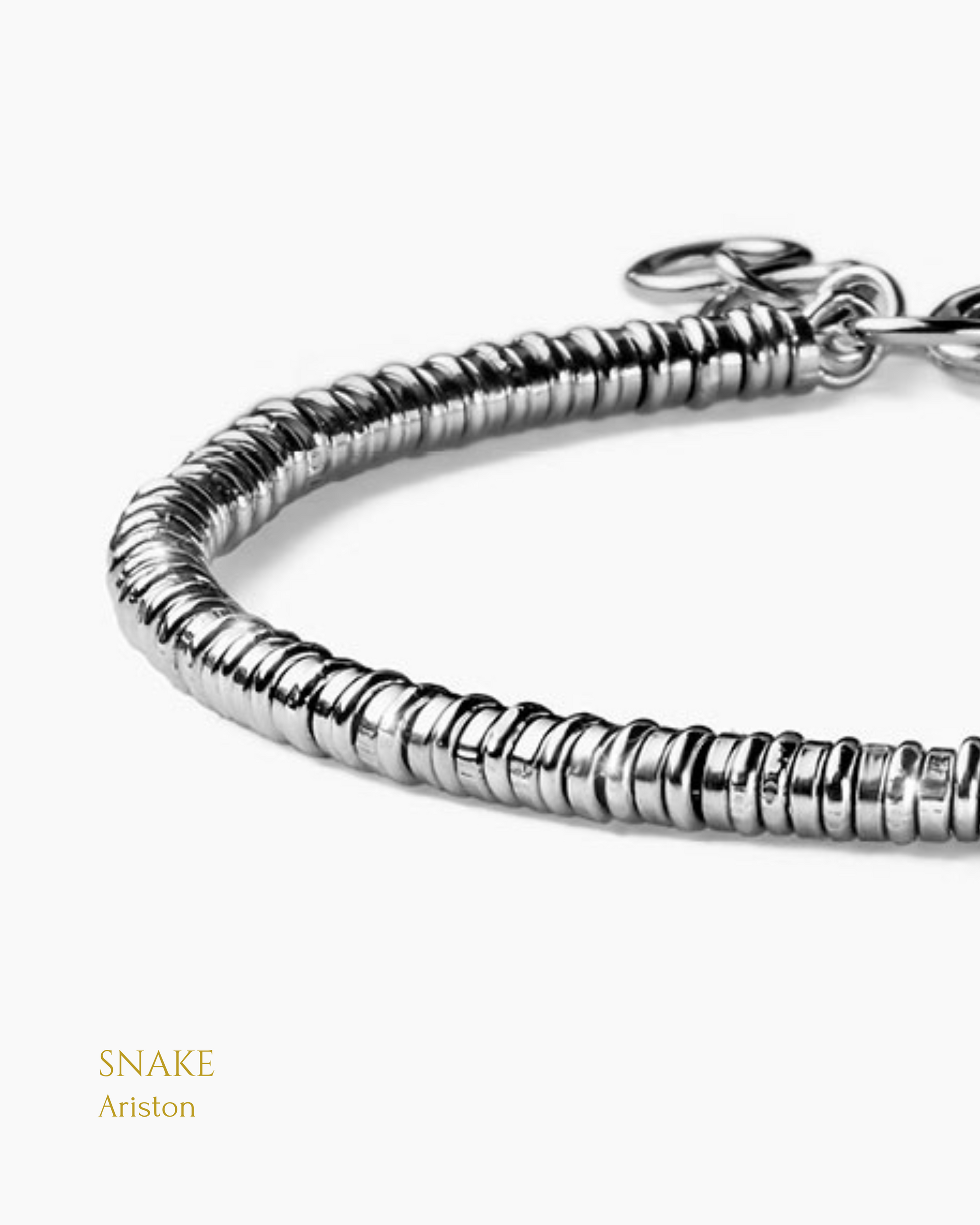 Snake - Ariston