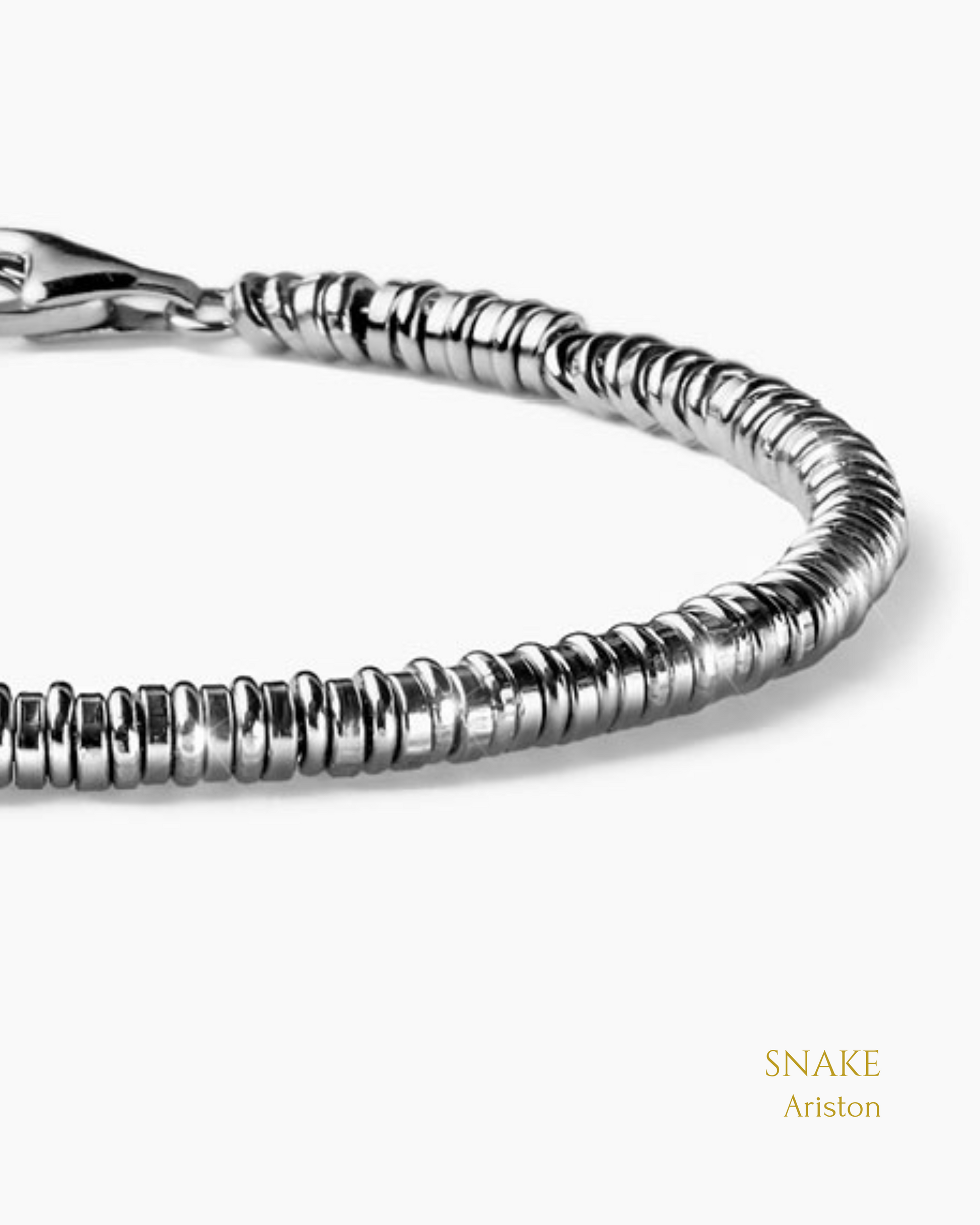 Snake - Ariston