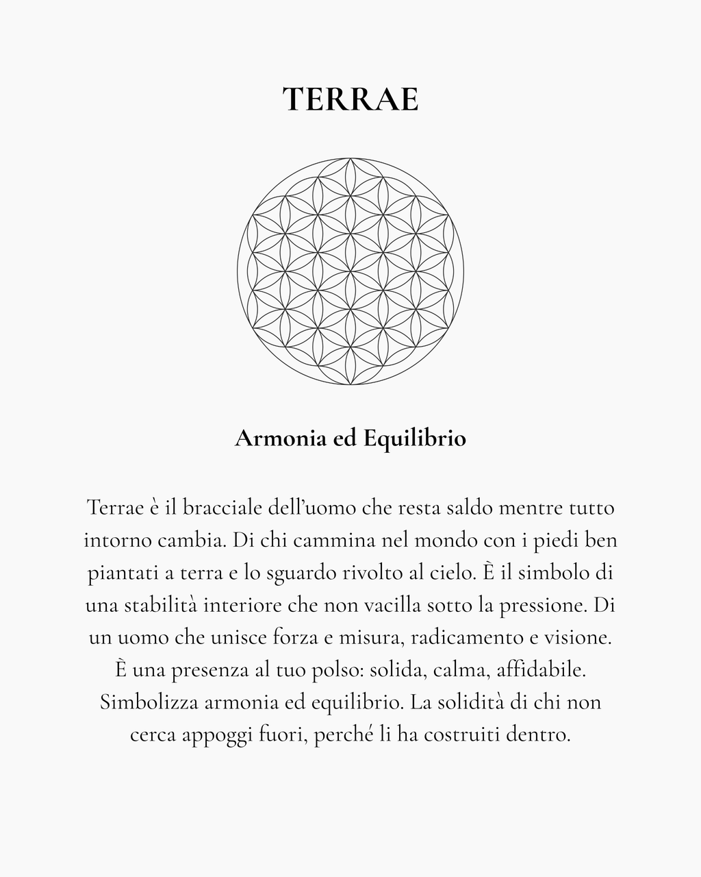 Siena - Terrae